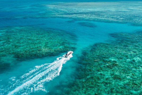 wyld news GreatBarrierReef OceanFreedom PhotoCredit TTNQ Kopie