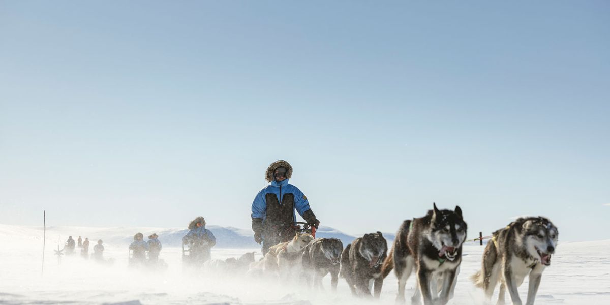 Fjällräven Polar2027 Hero Huskies Schlittenhunde