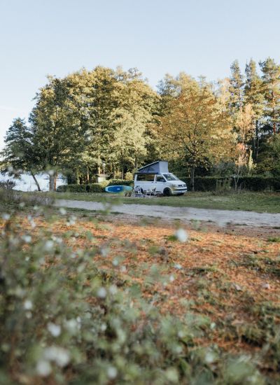wildwood uckermark 2025 10 lores 6214 (1)