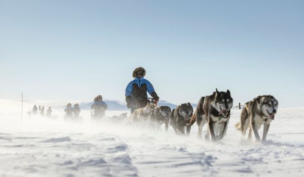 Fjällräven Polar2027 Hero Huskies Schlittenhunde