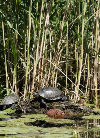©FrederiekeKrippeit Pressereise Riverly Ungarn web 07025