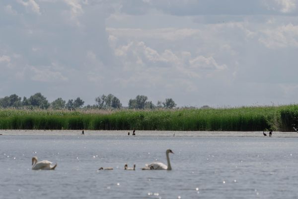 ©FrederiekeKrippeit Pressereise Riverly Ungarn web 07110