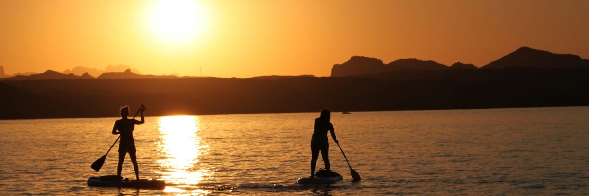 Lake havasu arizona wyld news camping