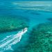 wyld news GreatBarrierReef OceanFreedom PhotoCredit TTNQ Kopie