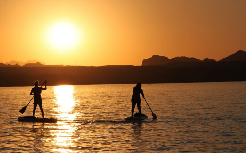 Lake havasu arizona wyld news camping