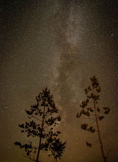 wyldmagazin kanada british columbia siwash lake ranch 030