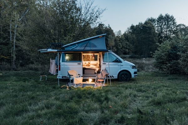 wildwood uckermark 2025 10 lores 6501