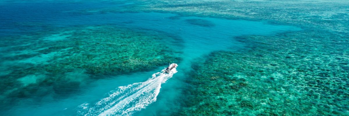 wyld news GreatBarrierReef OceanFreedom PhotoCredit TTNQ Kopie