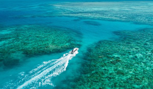 wyld news GreatBarrierReef OceanFreedom PhotoCredit TTNQ Kopie