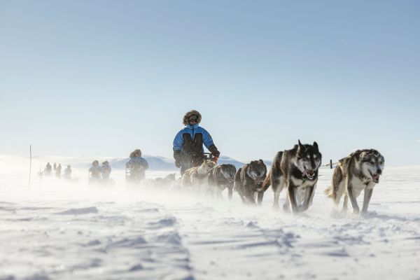 Fjällräven Polar2027 Hero Huskies Schlittenhunde