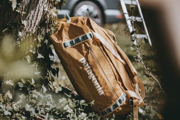 Patagonia Black Hole Duffel 55 lehnt am Baum