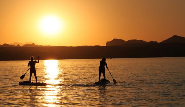 Lake havasu arizona wyld news camping