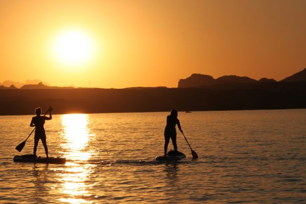 Lake havasu arizona wyld news camping