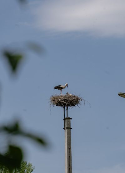 ©FrederiekeKrippeit Pressereise Riverly Ungarn web 07528