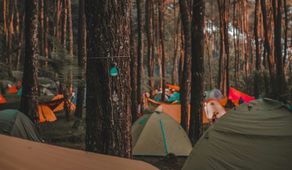 camping boom europa wyldmag wyldmagazin