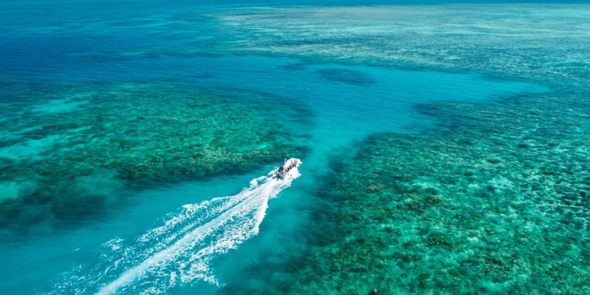 wyld news GreatBarrierReef OceanFreedom PhotoCredit TTNQ Kopie