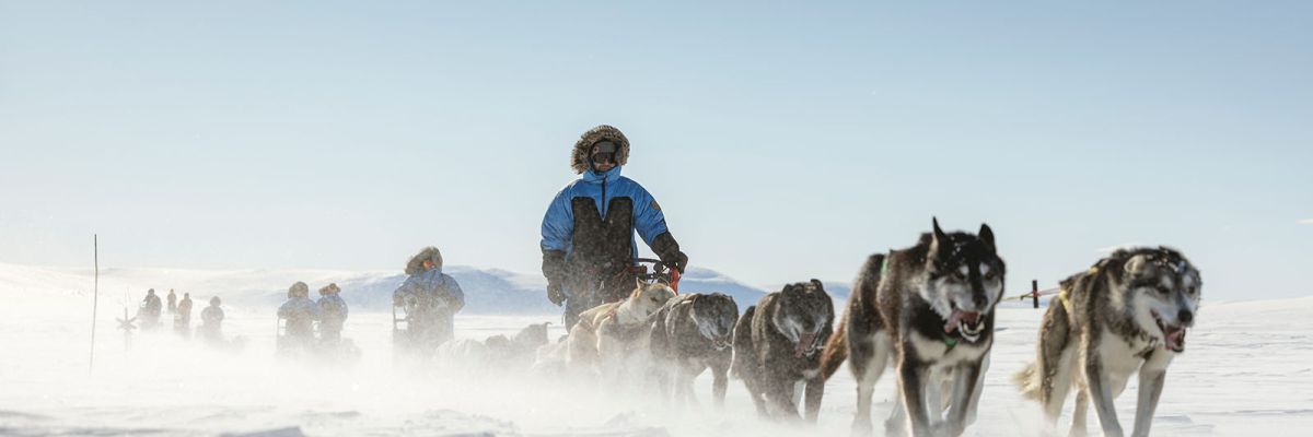 Fjällräven Polar2027 Hero Huskies Schlittenhunde